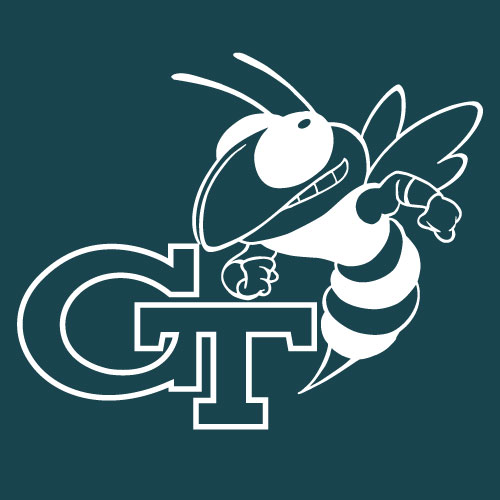 Georgia Tech vs Florida State Seminoles