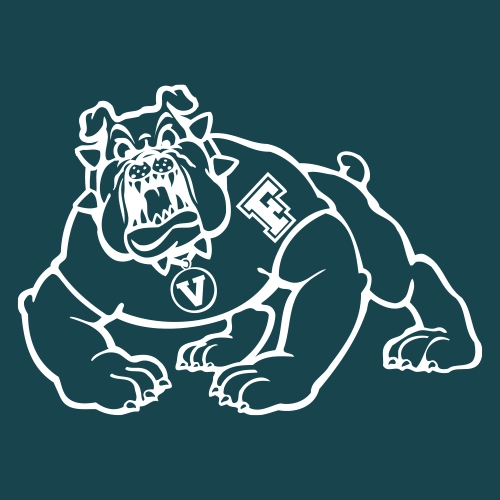 Fresno State Bulldogs