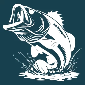 Bass Fishing