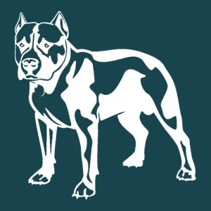 Pitbull