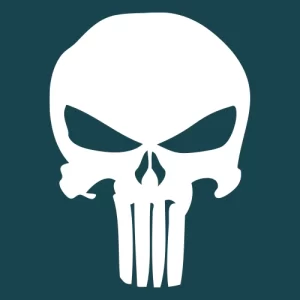 Punisher Sniper