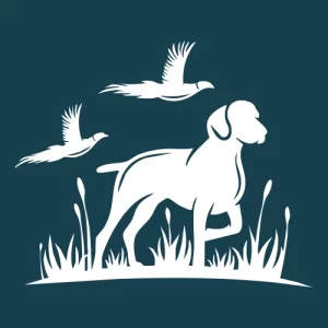 Bird Dog Hunting