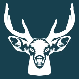 Buck Deer