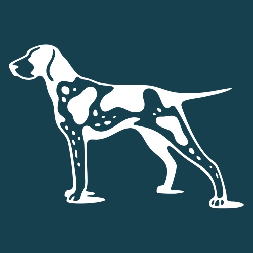 Hunting Dog