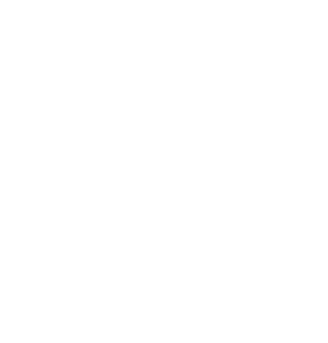 Apply Decal Icon