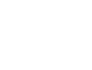 Miami Helmet